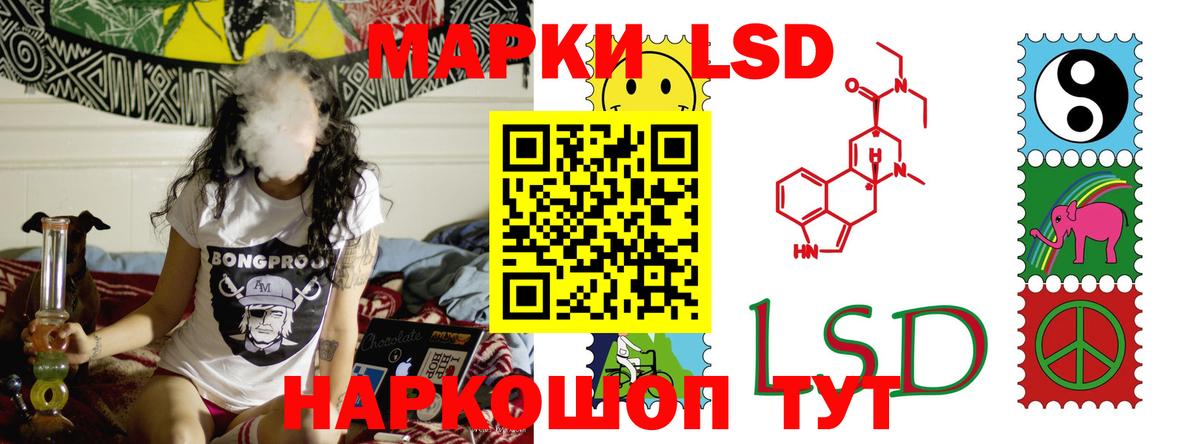 ссылка на мегу ТОР  Вход с VPN  ЛСД экстази ecstasy  ЛСД экстази  Новосибирск  LSD-25 экстази ecstasy 