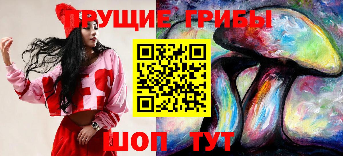 Новосибирск  Галлюциногенные грибы мухоморы  Галлюциногенные грибы Cubensis  Вход с VPN 
